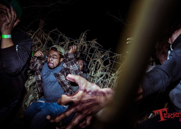 Terror On 12 - Where Nightmares Begin